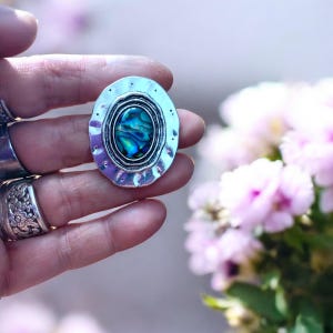 Abalone pin, Abalone , gift for her, abalone brooch