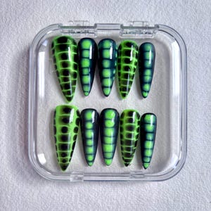 Puede incluir: Un juego de diez uñas postizas largas y puntiagudas en una caja de plástico transparente. Cada uña está pintada con un degradado de verde y negro, con un patrón similar a escamas. Las uñas están dispuestas ordenadamente en la caja.
