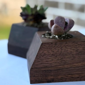 Könnte beinhalten: Zwei Holzpflanzgefäße mit geometrischen Designs, die jeweils eine Sukkulente enthalten. Die Pflanzgefäße sind aus dunkelbraunem Holz gefertigt und haben eine natürliche Maserung. Eine Sukkulente hat grüne Blätter, die andere hat violette Blätter.