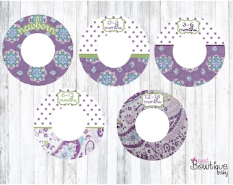pbk Brooklyn closet dividers