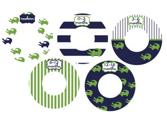 blue and green alligator closet dividers