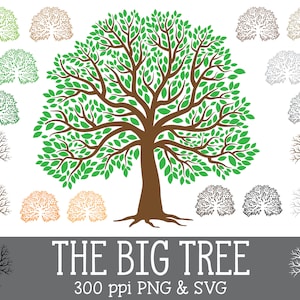 May include: A set of 12 vector illustrations of a large tree in various colors, including green, brown, orange, gray, and black. The tree is depicted with a thick trunk and many branches with leaves. The text "THE BIG TREE 300 PPI PNG & SVG" is displayed below the tree.