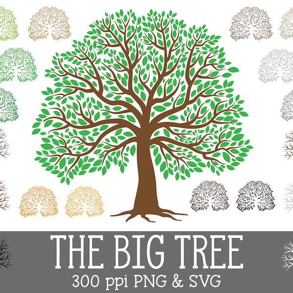 The Big Tree Creative Pack - SVG and PNG - Digital Clip Art - 5 Tree Trunks and 14 Separate Leaves