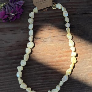 Sunwashed Shell Necklace