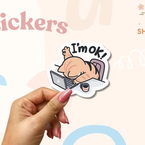 I&#39;m OK Cat Sticker: Funny Mental Health Humor - Laptop Decal