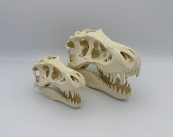 T. Rex Skull Replica | Dinosaur Fossil Model | Jurassic Decor & Science Gift
