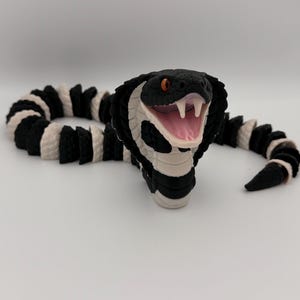 Op de afbeelding: Een zwart-witte speelslang met een open mond, die roze en witte details onthult. Het lichaam van de slang is gesegmenteerd met afwisselende zwarte en witte secties. De ogen van de slang zijn oranje.