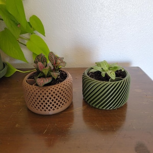 May include: Two potted plants in decorative planters. The planter on the left is brown with a geometric pattern and the planter on the right is green with a spiral pattern.