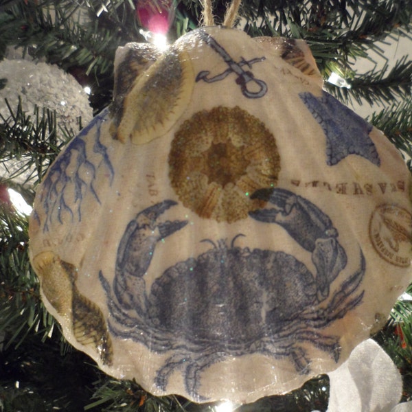 Scallop Shell Ornament - Nautical Design