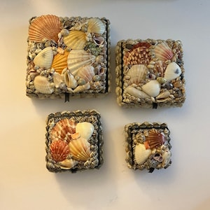 May include: Four square boxes of varying sizes, each decorated with a dense arrangement of assorted seashells in shades of white, cream, tan, orange, and brown. Each box features a small black fabric pull tab attached to the lid for opening.