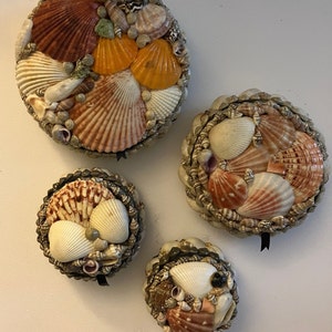 May include: Four circular boxes of varying sizes, each decorated with an assortment of natural seashells in shades of white, tan, orange, and brown. The shells are arranged in a dense, layered pattern covering the entire top surface of each lid.