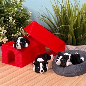 May include: A collection of miniature Border Collie dog figurines. One is inside a red house, another is in a red box, and the third is resting on a gray dog bed. The dogs are black and white.
