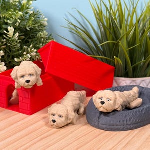 May include: A red dog house with a puppy peeking out, and two other puppies. One puppy is lying on a gray dog bed. The puppies are light tan in color. The background includes green plants.