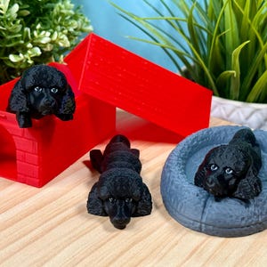 May include: A collection of miniature black poodle figurines. One poodle is in a red dog house, another is lying down, and a third is in a gray dog bed. The figurines have blue eyes and are on a wooden surface.