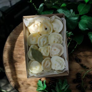 Dumpling Soap Set 12 Mini Pelmeni Soaps  Vegan Foodie Gift