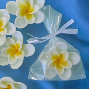 May include: A clear plastic bag tied with a white ribbon, containing a single white frangipani flower with a yellow centre. Four additional white frangipani flowers with yellow centres are scattered on a blue surface.