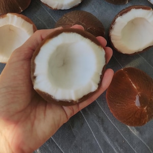 Könnte beinhalten: Eine halbierte Kokosnuss mit einem dicken, weißen, fleischigen Inneren und einer strukturierten, dunkelbraunen Außenschale. Die Frucht ist rund mit einer faserigen Außenfläche und einem glatten, weißen, konkaven Zentrum.