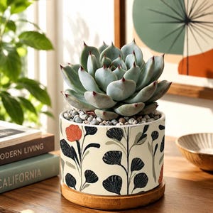 May include: A succulent plant with pale green, pointed leaves sits in a cylindrical ceramic planter. The planter features a cream background with a black and orange botanical pattern and rests on a circular wooden base with small gray pebbles.