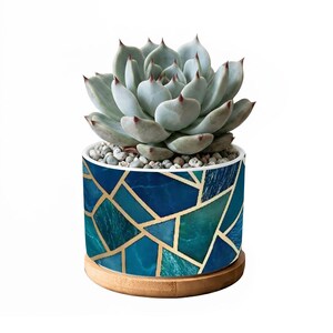 May include: A succulent plant with pale green, pointed leaves sits in a cylindrical ceramic planter. The planter features a blue and teal geometric marble pattern with gold lines, resting on a circular light wood base with small pebbles.