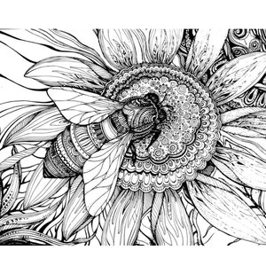 May include: Detailed black and white illustration of a bee on a sunflower. The bee and flower are intricately drawn with patterns and lines. The image is a close-up, showcasing the details of the bee's body and the sunflower's petals.