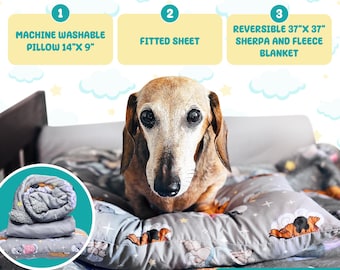 sachin and babi light blue dress The 5 Best Dog Crates of 2026 main image 1