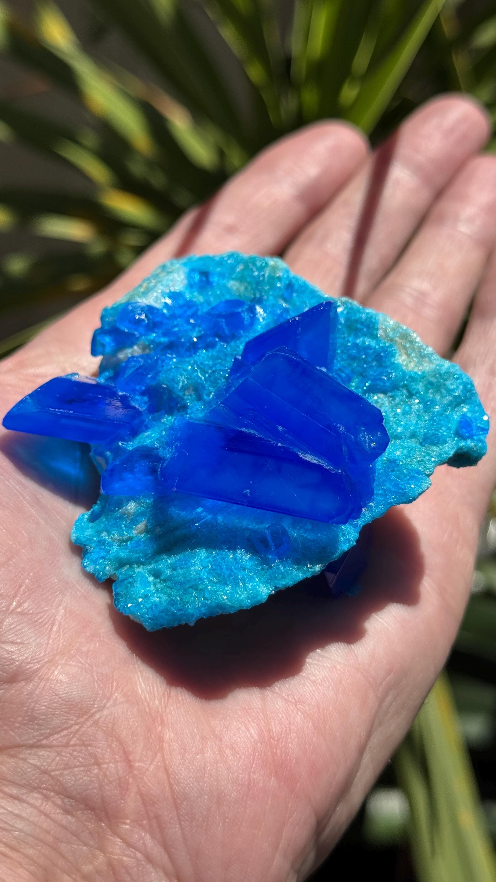 超高純度カルカンサイト結晶（クォーツマトリックス上） - 3インチ×3