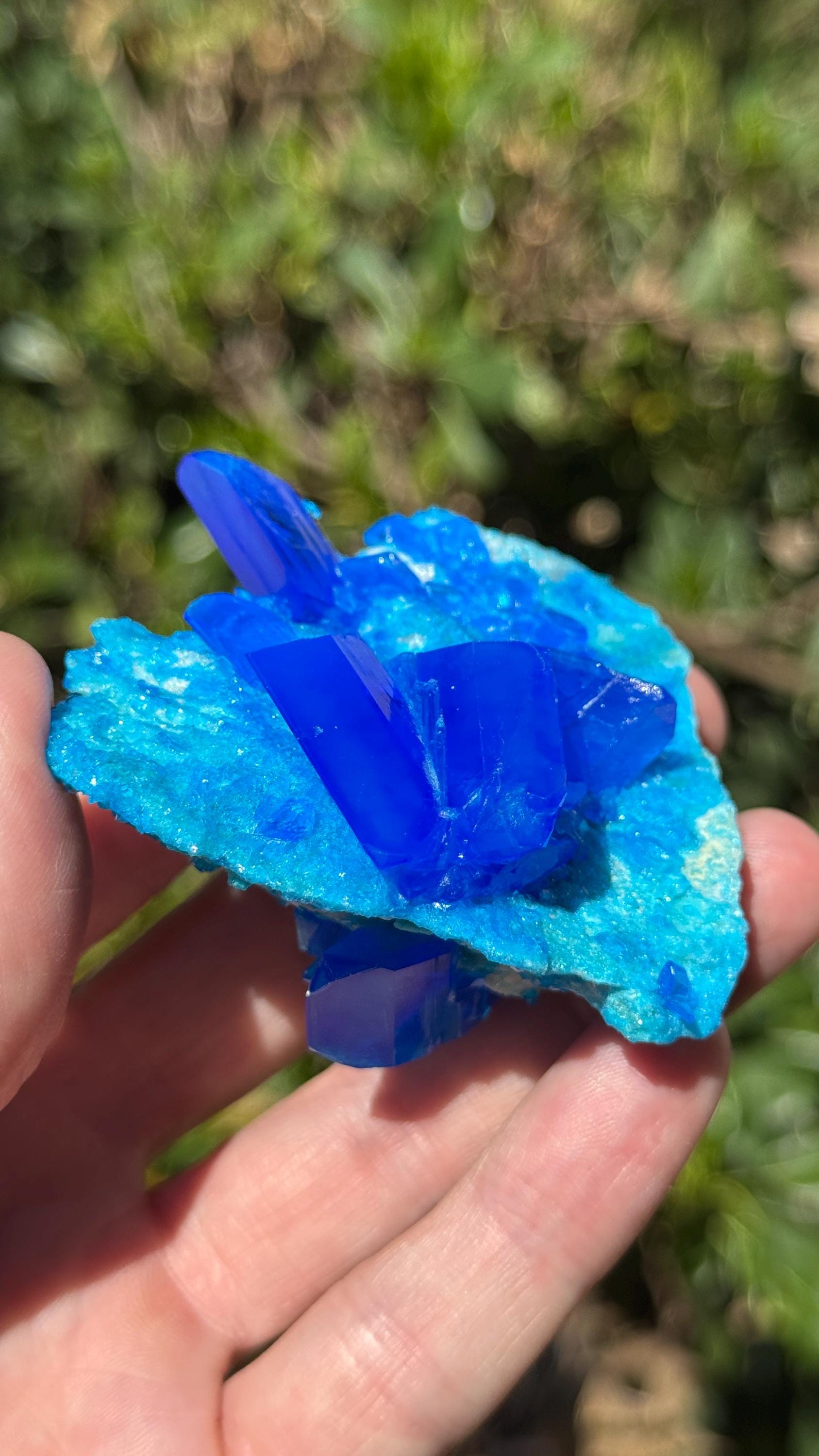 超高純度カルカンサイト結晶（クォーツマトリックス上） - 3インチ×3