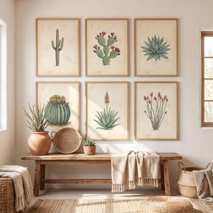 Op de afbeelding: Een set van zes ingelijste botanische prints met diverse cactussen en vetplanten in groen-, roze- en roodtinten op een crèmekleurige achtergrond. De prints zijn in twee rijen van drie boven een houten bank met een beige plaid geplaatst.