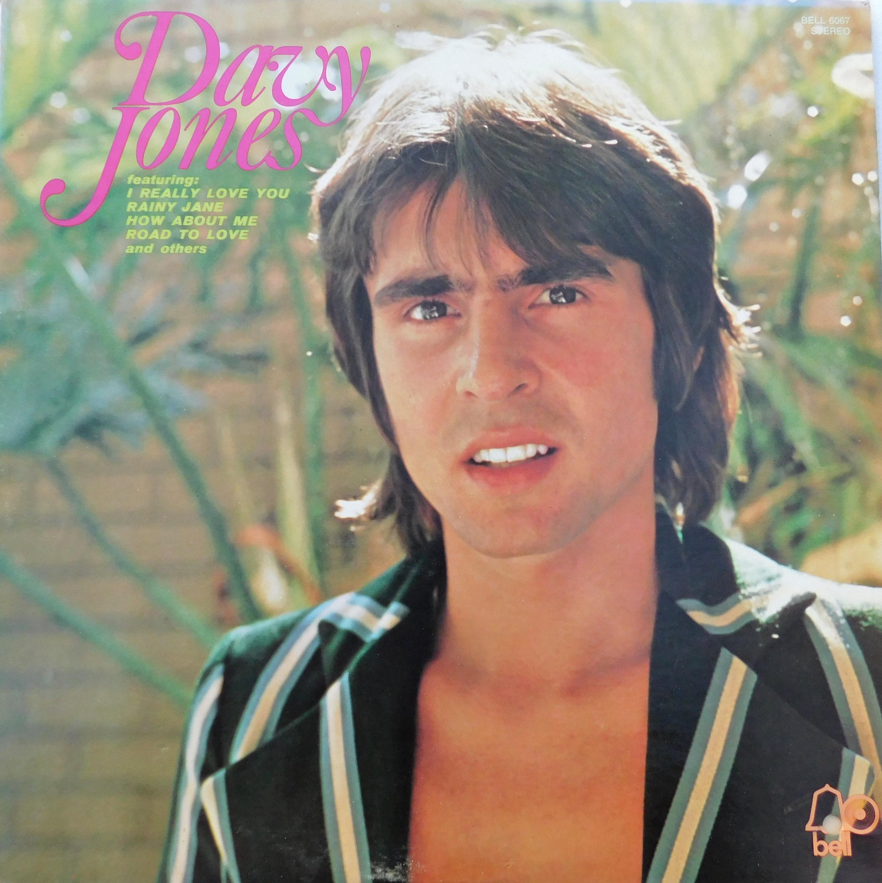 Davy Jones - Dave Jones 1971 Vinyl Record LP - Nice NM Condition!