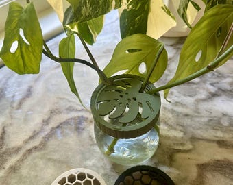 Propagation Jars for plant cuttings