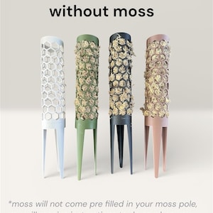 3D Printed Moss Pole: Stackable Honeycomb Plant Support