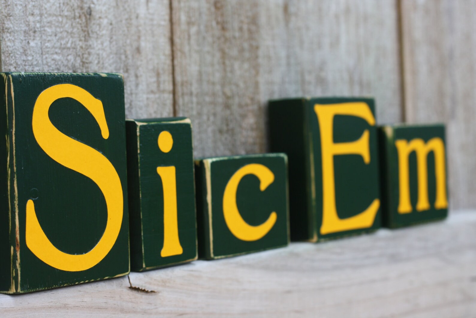 CUSTOM COLLEGE BLOCKS - Sic Em - Baylor Bears - University Texas - Home ...