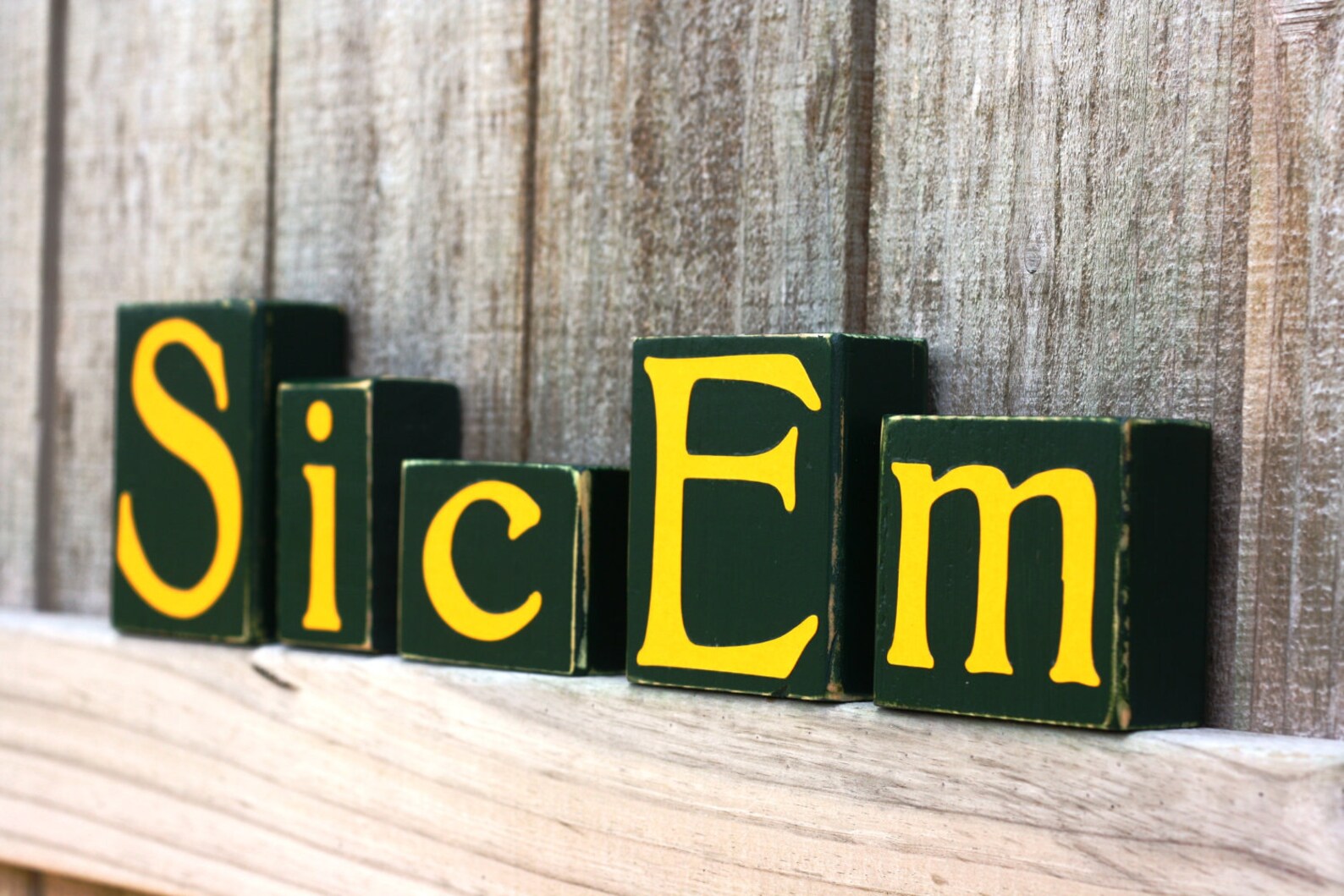 CUSTOM COLLEGE BLOCKS - Sic Em - Baylor Bears - University Texas - Home ...