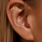 Animal Studs