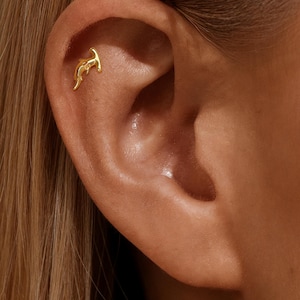 May include: A gold-colored ear piercing in the shape of a hammerhead shark. The jewelry is placed on the ear's cartilage. The background shows the ear and some blonde hair.