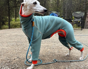 May include: A light blue fleece dog jumpsuit featuring a high turtleneck collar and bright orange trim along the cuffs, leg openings, and neck. The garment has long sleeves and pant legs, with a blue leash attached to a metal ring at the neck.