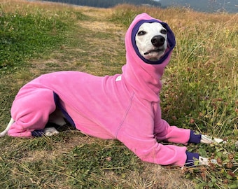 Cozy Fleece Dog Jumpsuit – Warm Hoodie Onesie Pajamas for Iggy Italian Greyhounds, Whippets & Sighthounds