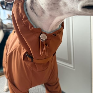 May include: A rust-colored dog coat featuring a high collar with a light blue interior lining. The garment includes a silver-toned cord lock toggle and an adjustable drawstring closure at the neck, along with a matching rust-colored strap and buckle.