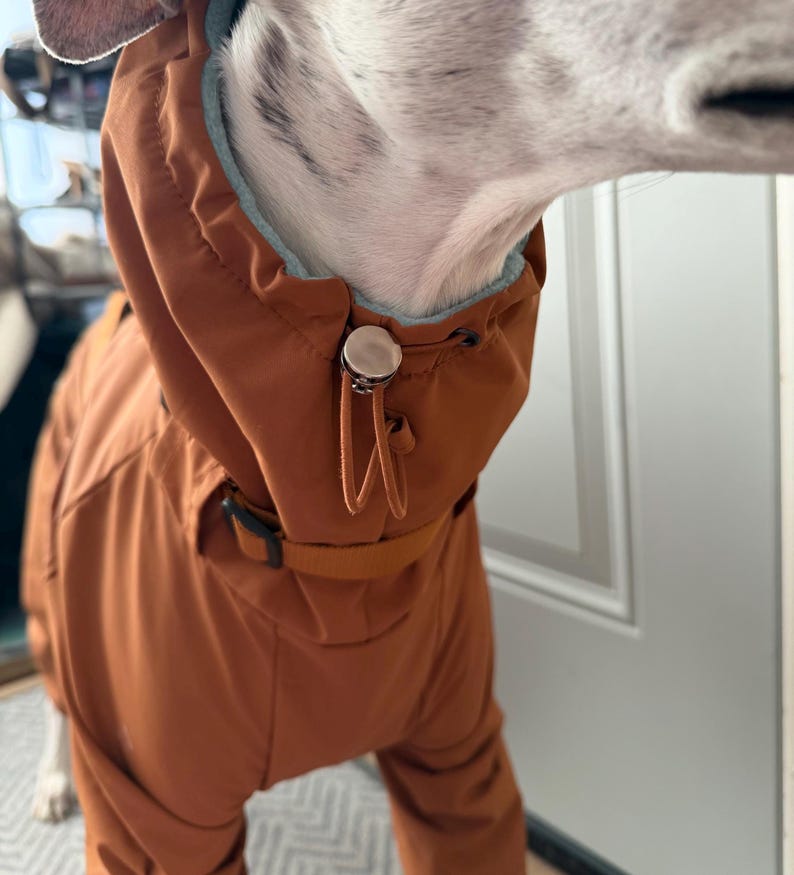 May include: A rust-colored dog coat featuring a high collar with a light blue interior lining. The garment includes a silver-toned cord lock toggle and an adjustable drawstring closure at the neck, along with a matching rust-colored strap and buckle.