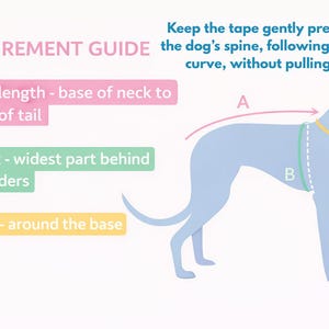 May include: A measurement guide for dogs featuring a light blue dog silhouette. Text includes MEASUREMENT GUIDE, A Back length - base of neck to base of tail, B Chest - widest part behind shoulders, C Neck - around the base, and instructions.