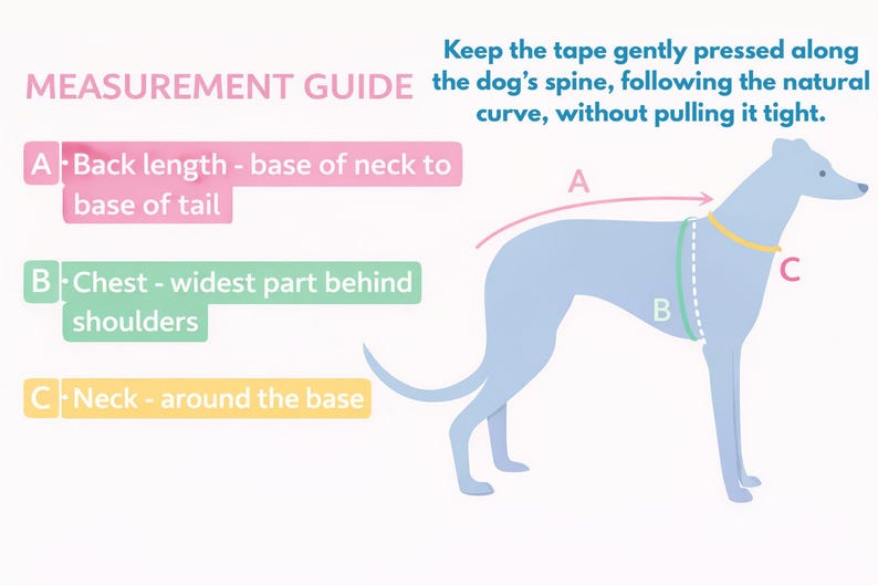 May include: A measurement guide for dogs featuring a light blue dog silhouette. Text includes MEASUREMENT GUIDE, A Back length - base of neck to base of tail, B Chest - widest part behind shoulders, C Neck - around the base, and instructions.