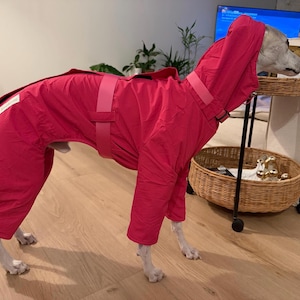 May include: A bright pink dog raincoat featuring a hood, long sleeves, and a wide adjustable strap around the midsection. The garment covers the back and legs, with a small white rectangular label visible on the rear portion of the coat.