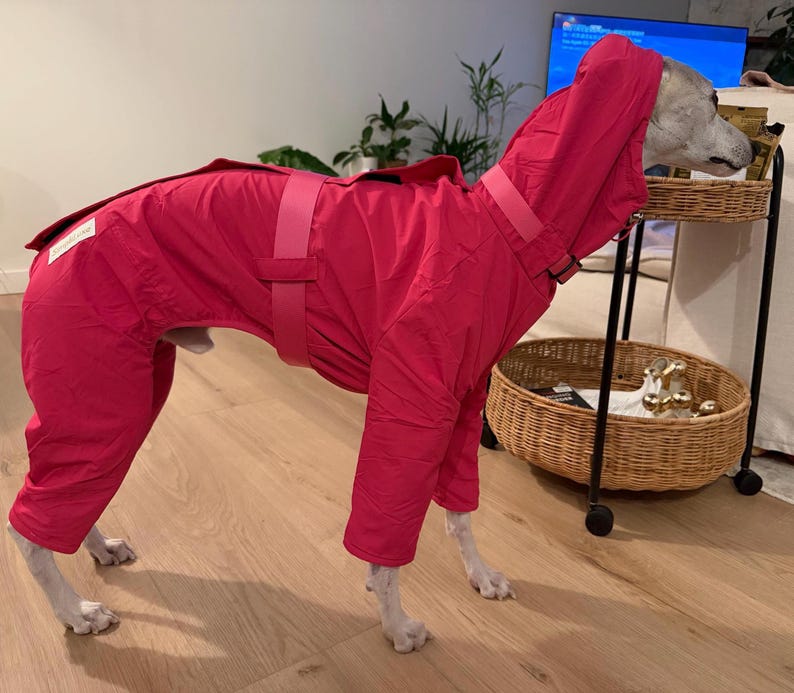 May include: A bright pink dog raincoat featuring a hood, long sleeves, and a wide adjustable strap around the midsection. The garment covers the back and legs, with a small white rectangular label visible on the rear portion of the coat.