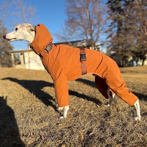 Peut inclure: Un chien portant une combinaison intégrale orange brûlé avec une capuche. Le vêtement présente un col haut avec une fermeture à boucle en plastique noir et une sangle réglable assortie avec une boucle noire autour de la taille pour le maintien.