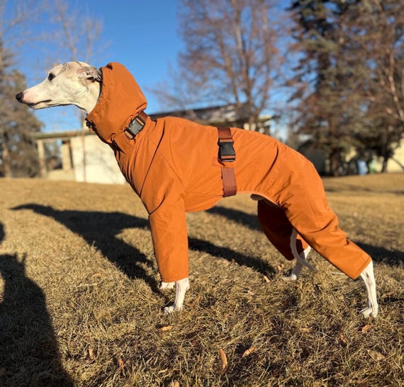 Waterproof Fleece Lined Dog Coat for Whippet, Italian Greyhound Winter Jacket