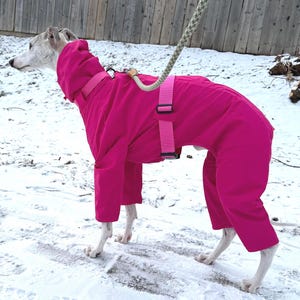May include: A bright pink dog jumpsuit featuring a high neck, long sleeves, and full-length leg coverage. The garment includes a matching pink adjustable strap system around the torso and neck, with a leash attachment point visible on the back.