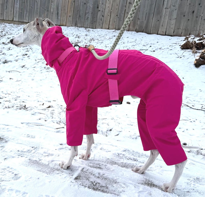 May include: A bright pink dog jumpsuit featuring a high neck, long sleeves, and full-length leg coverage. The garment includes a matching pink adjustable strap system around the torso and neck, with a leash attachment point visible on the back.