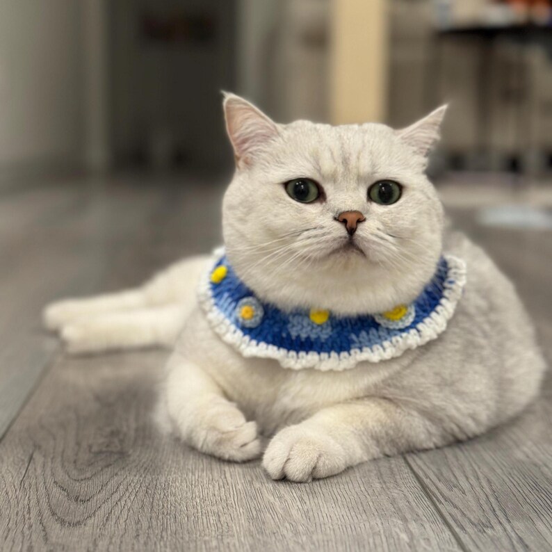 Curated visual reference: Visual Reference: Starry Night Cat Collar Handmade Crochet In Blue Gold
