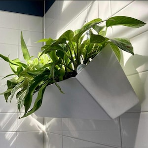 Marine kwaliteit roestvrijstalen muur hangende plantenbak