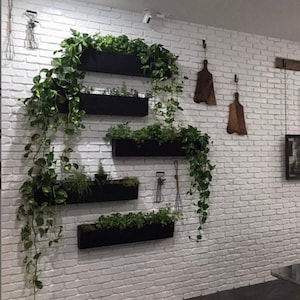 Puede incluir: Una pared de ladrillo blanco con cuatro jardineras rectangulares negras llenas de plantas verdes. Las enredaderas caen en cascada por la pared. Utensilios de cocina y tablas de cortar de madera también están montados en la pared.